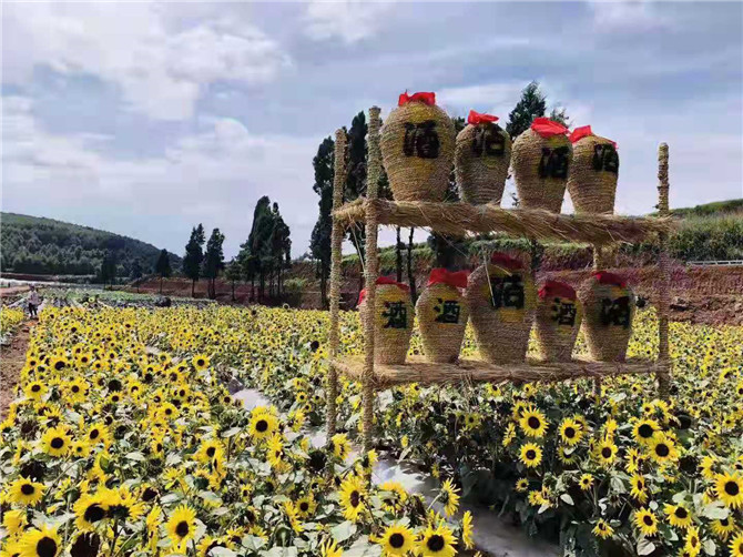 云南高原种业小镇开园 奇异瓜果吸睛还不要门票